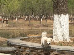 -东郊湿地公园