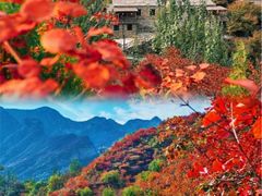 -广州塔