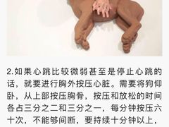 -申普宠物医院·心脏介入·心血管微创(总院)