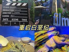 -中华恐龙园
