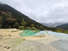 -黄龙山原始森林景区