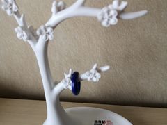 -天津水晶宫饭店