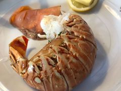 -NORDSEE Frankfurt Fisch Franke