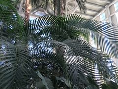 -中家鑫园温泉酒店鑫悦汤泉