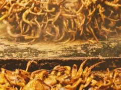 -东门町美食街