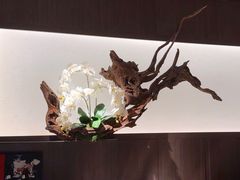 -水木锦堂·自助铁板烧(望京凯德MALL店)