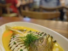 鸡汤蒸黄鱼-必点海鲜·鲅鱼水饺(鞍山西道店)