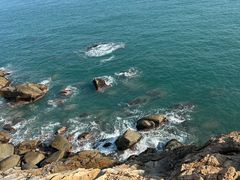 -广东惠东海龟国家级自然保护区