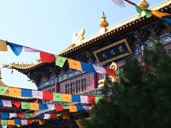-西安市广仁寺