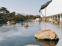 -罗红摄影艺术馆