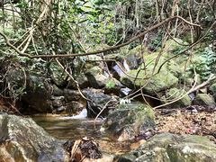 -牛鱼嘴原始生态风景区