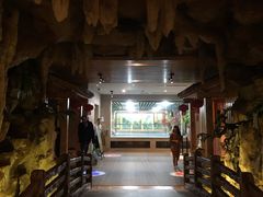 -御池园(顾村公园店)