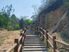 -白水寺森林公园