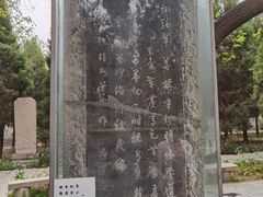 -赵州桥景区