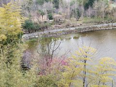-东坡赤壁风景名胜区