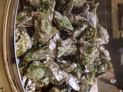 -嘉年华大酒店琴湾-自助餐厅