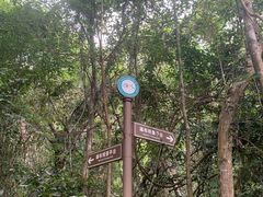 景点-海南热带雨林国家公园吊罗山景区