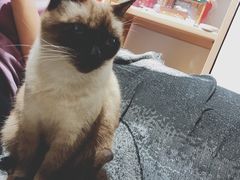 -About Bistro關於·泰式家庭料理