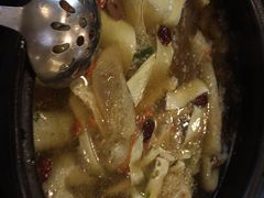 -蜀皇·菌汤鲜黄牛肉汤锅(宽窄巷子店)