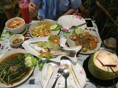 -Jungle Kitchen