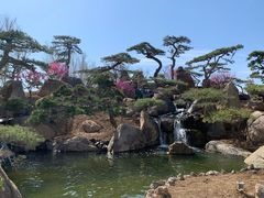 -罗红摄影艺术馆