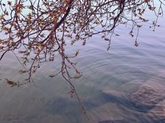 -颐和园