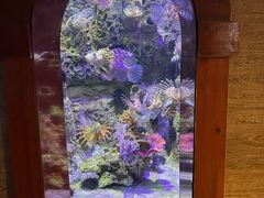 -太平洋海底世界