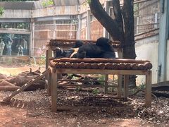 -昆明动物园