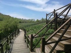 -白草畔自然风景区