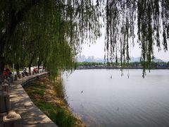 -济南国际园博园