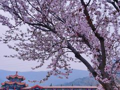 -北京十三陵国家森林公园蟒山景区