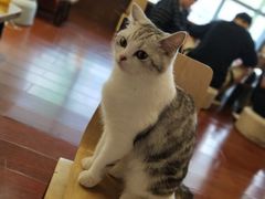 -万达广场(东莞厚街店)