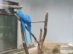 -上方山森林动物世界