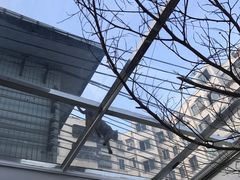 -素咫咖啡CLIFEROSE