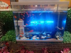 -东方豪客牛排意面披萨(金凤万达店)