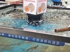 -大润发(康桥店)