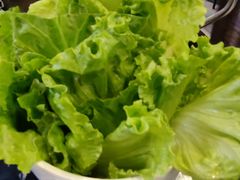 生菜-燚青春东北泥炉烤肉(百合店)