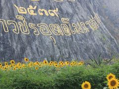 android_upload_pic-七珍佛山