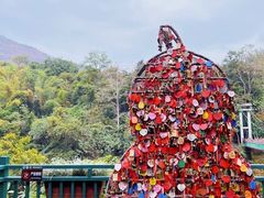 -西双版纳原始森林公园