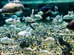 -成都浩海立方海洋公园