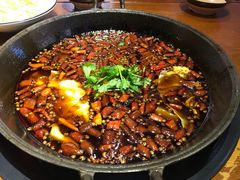 -受气牛肉·重庆耙牛肉(来福士店)