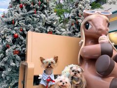 -东莞松山湖万象汇