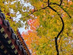 -灵谷景区