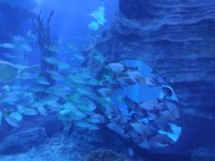 -多彩贵州城极地海洋世界