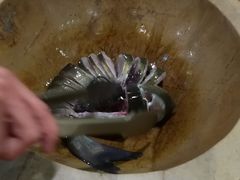 -云中鱼蒸汽石锅鱼(川沙百联店)