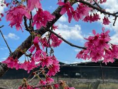 -维乐口腔医院(福清院)