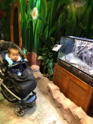 -酷嗒动物文化乐园(cutezoo西溪乐天城店)