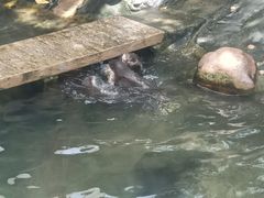 -香港海洋公园