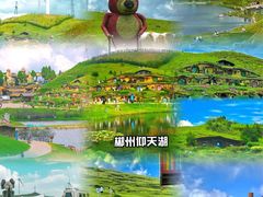 -仰天湖大草原