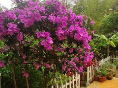 -小八仙·宴(三峡茶庄店)